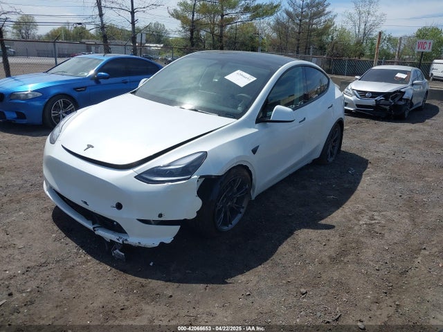 2025 TESLA MODEL Y 7SAYGAEE6SF238189 Photo 1