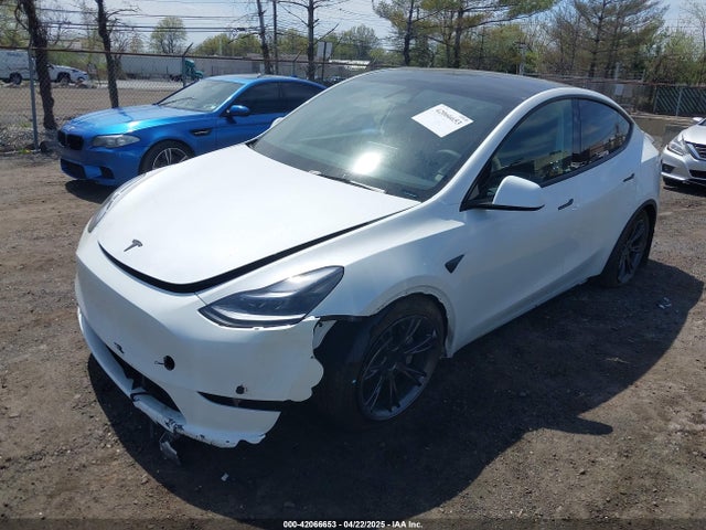 2025 TESLA MODEL Y 7SAYGAEE6SF238189 Photo 5