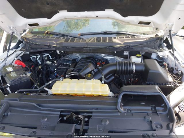 1FTFW1E56MFB96239 Ford F-150 Xlt