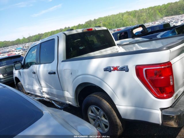 1FTFW1E56MFB96239 Ford F-150 Xlt
