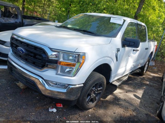 1FTFW1E56MFB96239 Ford F-150 Xlt