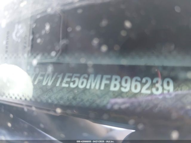 1FTFW1E56MFB96239 Ford F-150 Xlt