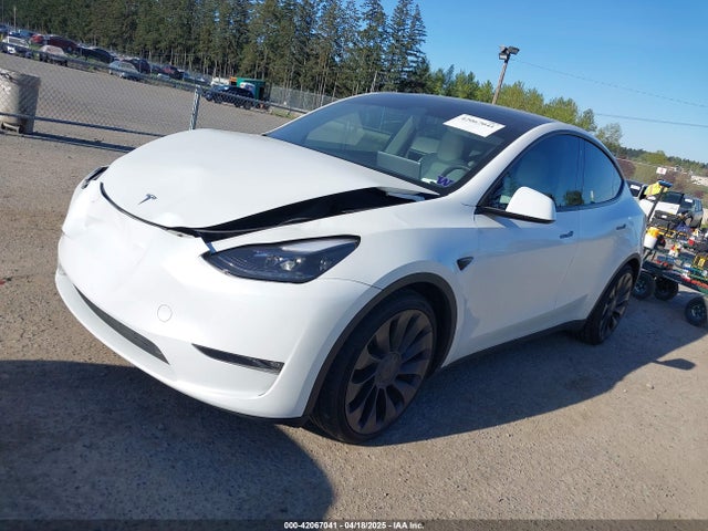 2023 TESLA MODEL Y 7SAYGDEF2PF754938 Photo 1