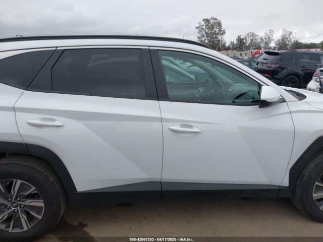 KM8JBCD11RU205511 Hyundai Tucson Hybrid Blue