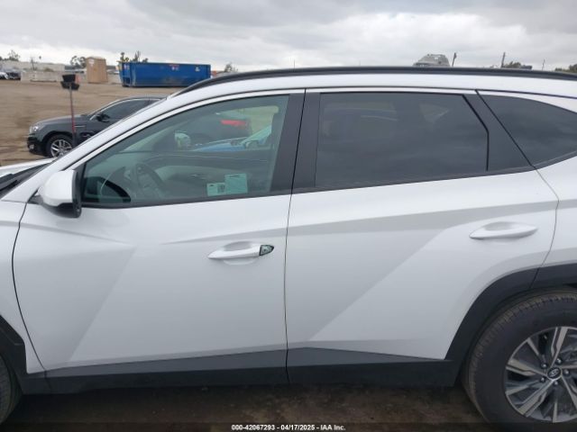 KM8JBCD11RU205511 Hyundai Tucson Hybrid Blue