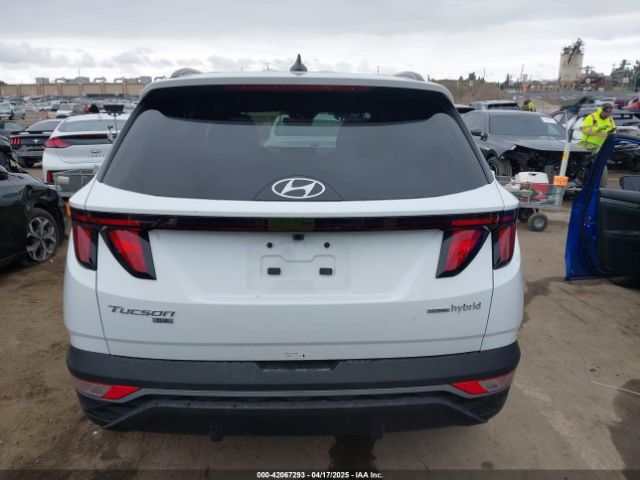 KM8JBCD11RU205511 Hyundai Tucson Hybrid Blue
