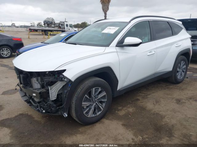KM8JBCD11RU205511 Hyundai Tucson Hybrid Blue