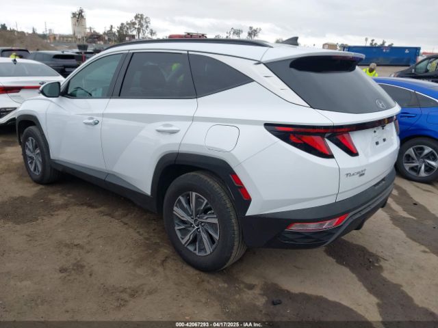 KM8JBCD11RU205511 Hyundai Tucson Hybrid Blue
