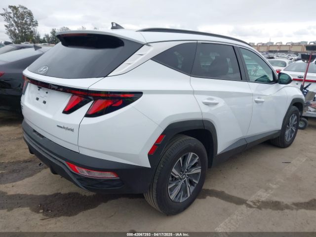 KM8JBCD11RU205511 Hyundai Tucson Hybrid Blue