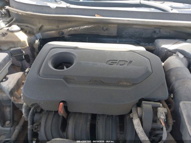 5NPE24AF7GH321282 Hyundai SONATA SE
