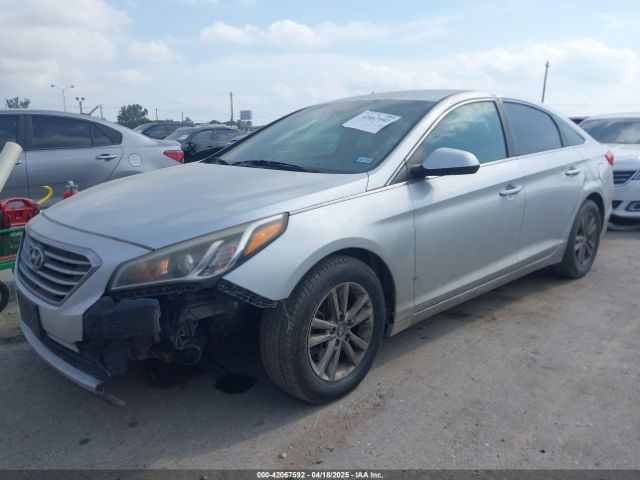 5NPE24AF7GH321282 Hyundai SONATA SE