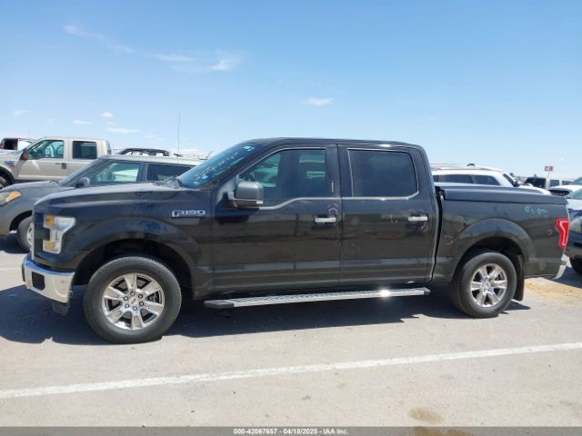 1FTEW1C89GKE60462 Ford F-150 Xlt