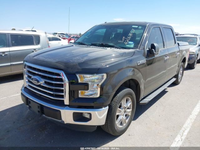 1FTEW1C89GKE60462 Ford F-150 Xlt