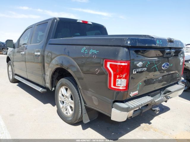 1FTEW1C89GKE60462 Ford F-150 Xlt