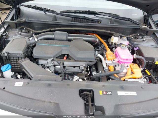 KNDPUCDG8S7181774 KIA Sportage Hybrid Lx