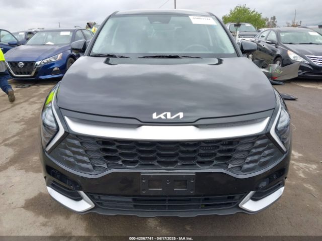 KNDPUCDG8S7181774 KIA Sportage Hybrid Lx