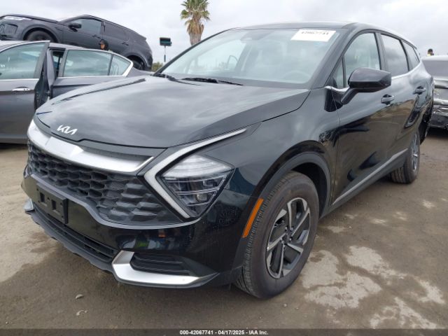 KNDPUCDG8S7181774 KIA Sportage Hybrid Lx