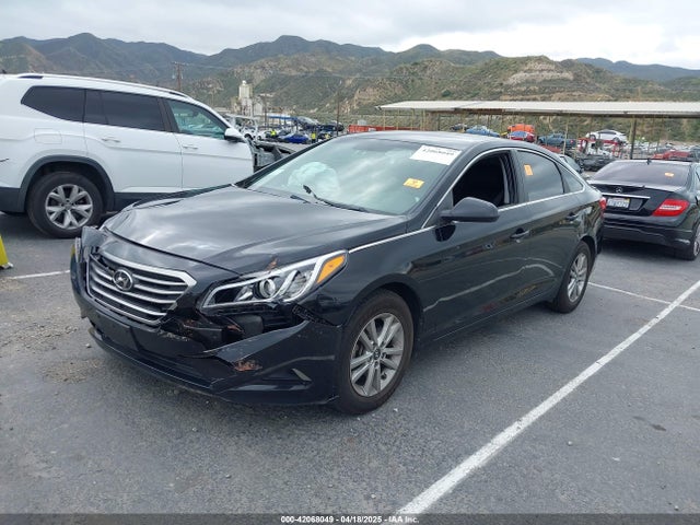 5NPE24AF9HH496831 Hyundai Sonata