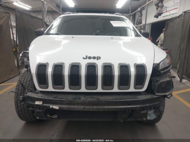1C4PJMBS1FW665500 Jeep Cherokee Trailhawk