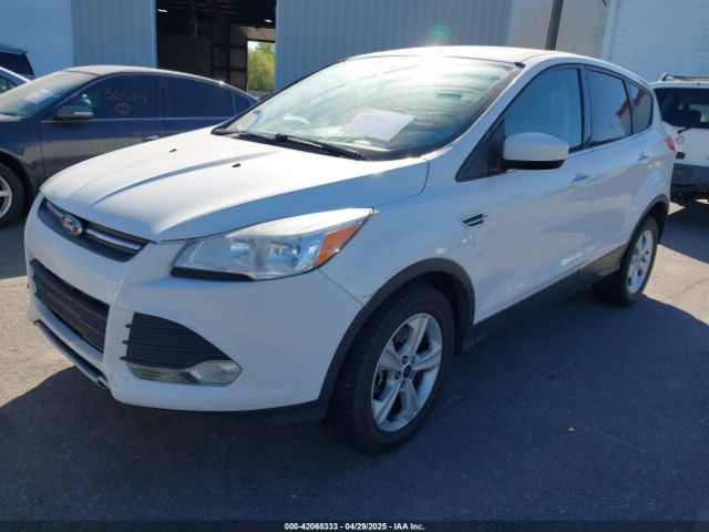 1FMCU9G90EUC24911 Ford ESCAPE SE