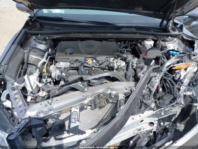 4T1C11BK5PU083065 Toyota CAMRY LE