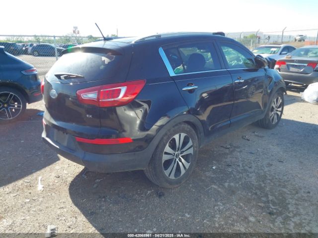 2012 KIA SPORTAGE KNDPC3A24C7242972 Photo 3