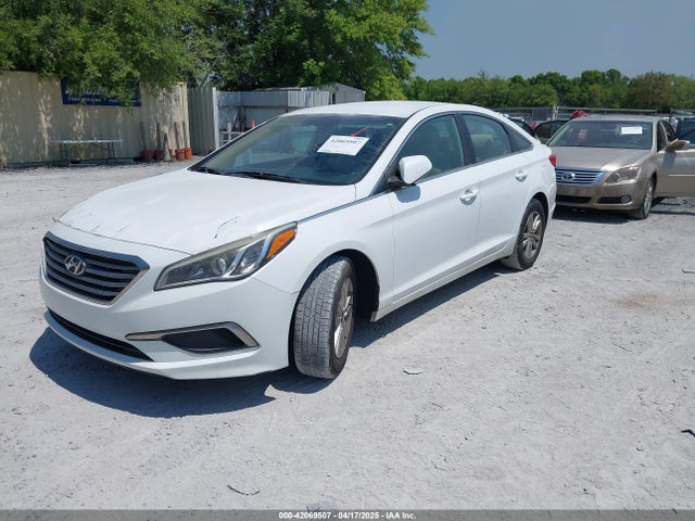 5NPE24AF4GH289889 Hyundai SONATA SE