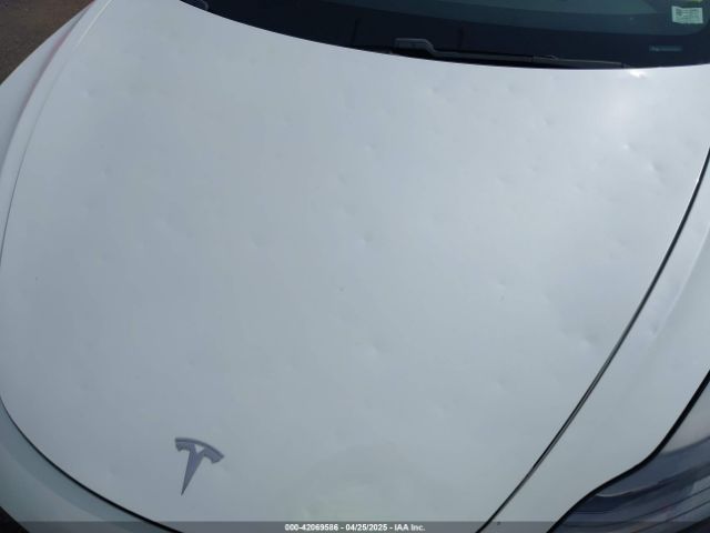 2021 TESLA MODEL 3 5YJ3E1EC0MF082522 Photo 5