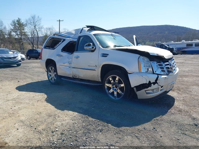 2009 CADILLAC ESCALADE 1GYFK23269R279695 Photo 5