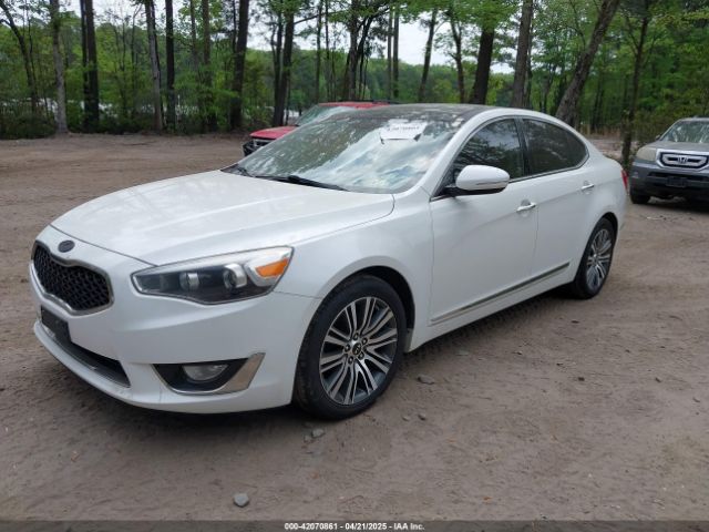 KNALN4D72E5140572 KIA Cadenza Premium