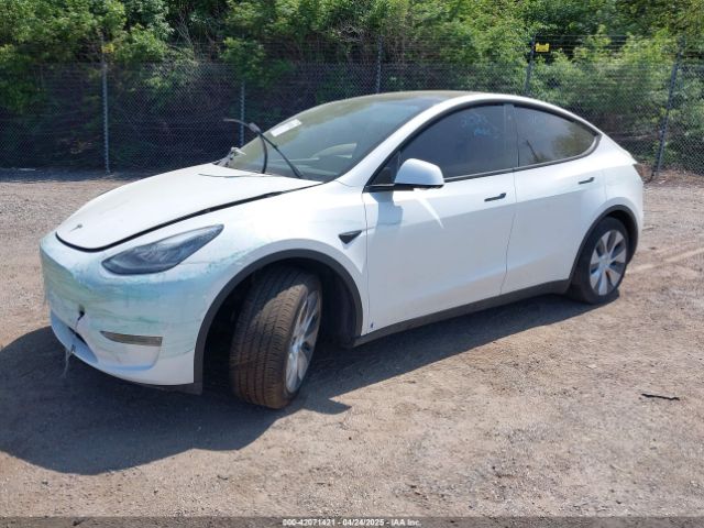 2023 TESLA MODEL Y 7SAYGDEE0PA130057 Photo 1
