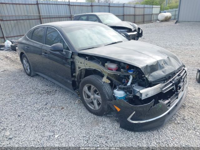 2023 HYUNDAI SONATA KMHL24JAXPA342447