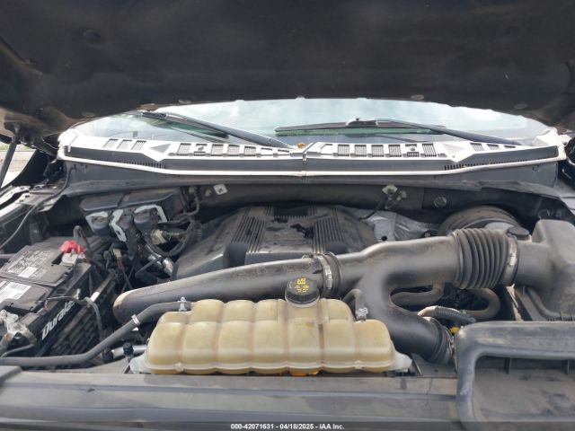 1FTEW1C46LKD28184 Ford F-150 Xlt