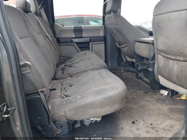 1FTEW1C46LKD28184 Ford F-150 Xlt