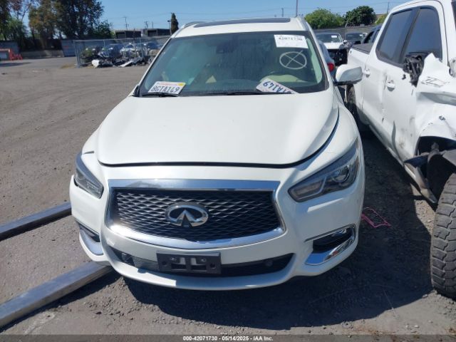 5N1DL0MN1KC525483 Infiniti QX60 LUXE