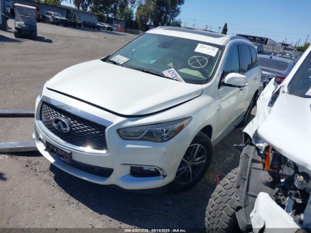 5N1DL0MN1KC525483 Infiniti QX60 LUXE
