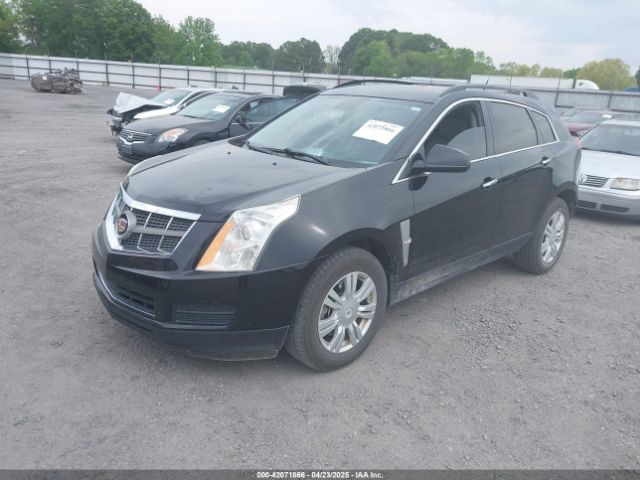 2011 CADILLAC SRX 3GYFNGEY6BS673576 Photo 1