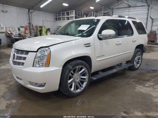 1GYS4CEF9ER157096 Cadillac Escalade Premium
