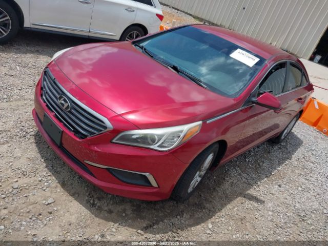 5NPE24AF8GH315118 Hyundai SONATA SE