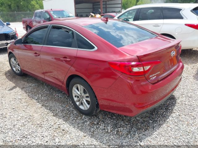 5NPE24AF8GH315118 Hyundai SONATA SE