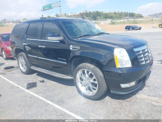 2011 CADILLAC ESCALADE 1GYS3AEF4BR271462