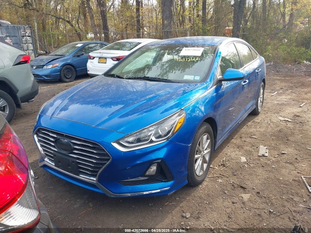 5NPE24AF0JH635282 Hyundai SONATA SE