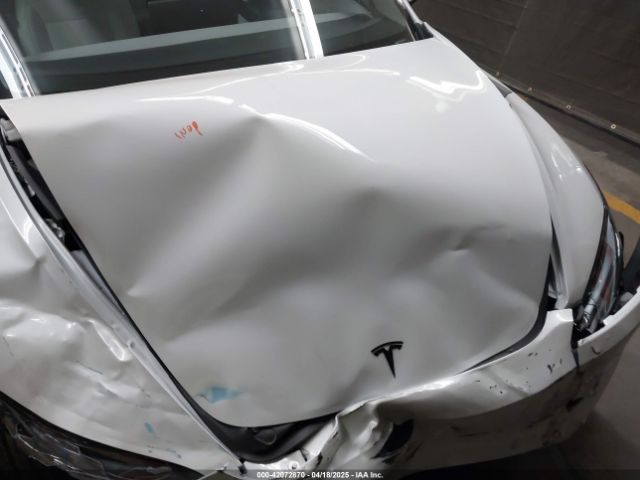 2025 TESLA MODEL 3 5YJ3E1EA1SF913182 Photo 9