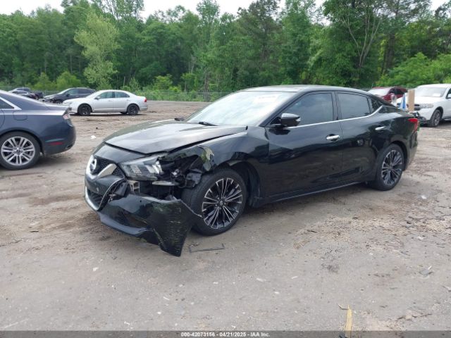 1N4AA6AP6GC387149 Nissan Maxima 3.5 Platinum