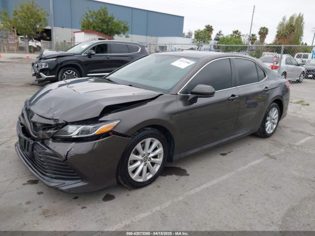 4T1B11HK7KU702244 Toyota CAMRY LE