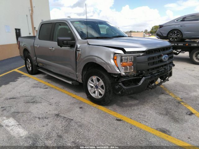 Auction sale of the 2024 Ford F-150 Xlt, vin: 1FTFW3LD0RFA89460, lot number: 42073504
