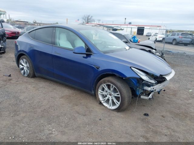 2023 TESLA MODEL Y 7SAYGDEE7PF616500 Photo 0