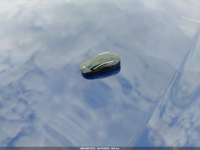 2016 TESLA MODEL X 5YJXCAE47GF006901 Photo 10
