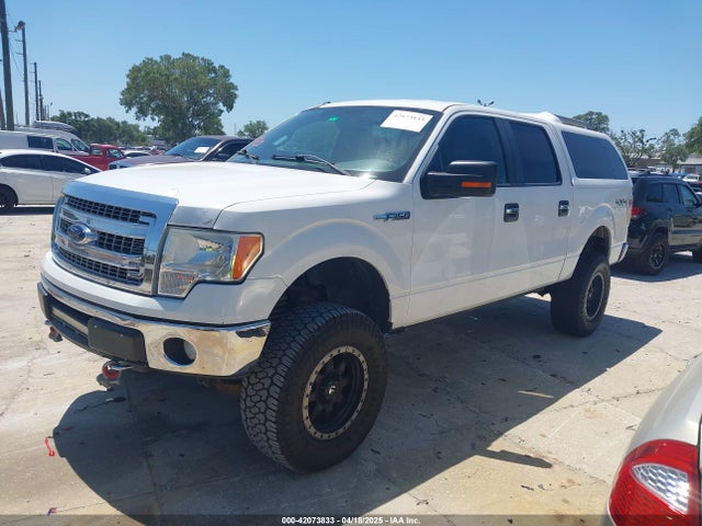 1FTFW1EFXEKE23613 Ford F-150 Xlt