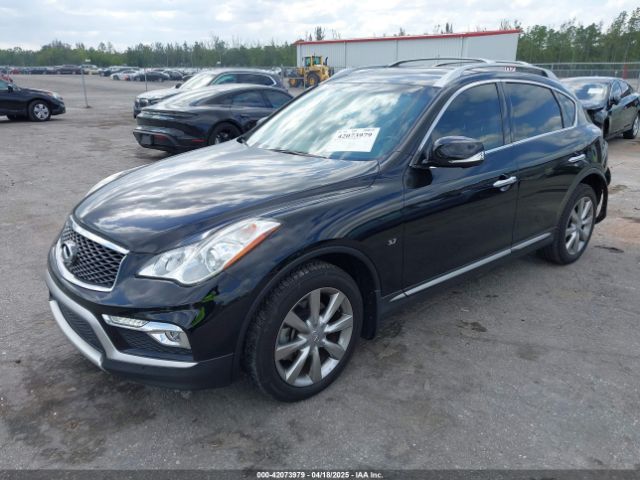 JN1BJ0RP6HM387179 Infiniti QX50